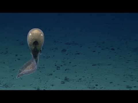 Видео: НЕРЕАЛЬНЫЕ ВОДЫ | Водные места, которые не кажутся реальными