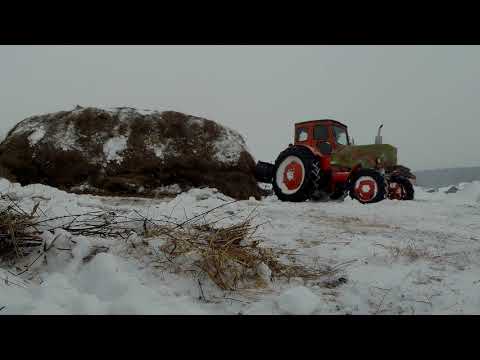 Видео: Т 40 АМ ПОРВАЛ ЗАРОД СЕНА.