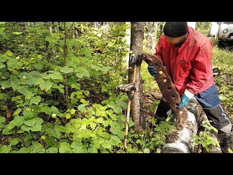 Видео: КОП МЕТАЛЛОЛОМА В ТАЙГЕ