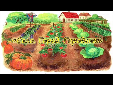 Видео: "Село. Город. Городина"