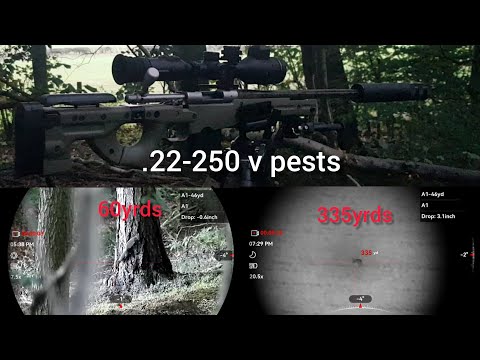 Видео: .22-250 отстрел вредителей, Alpex 4K, Remington 700
