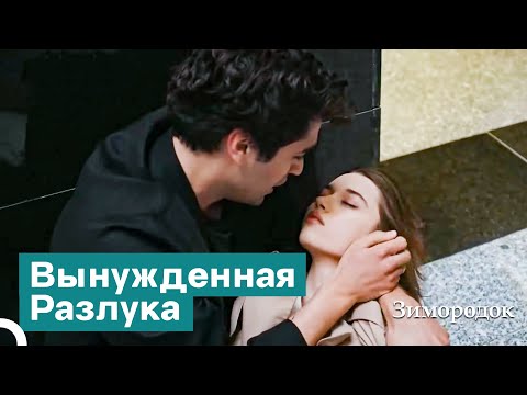 Видео: Тяжело Расставаться, Любя | Зимородок