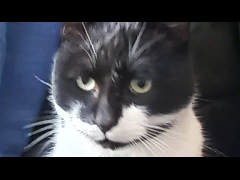 Видео: Историята на  Dani_likegames channel BULGARIAN LANGUAGE English or Russian turn on subtitles!⚠️