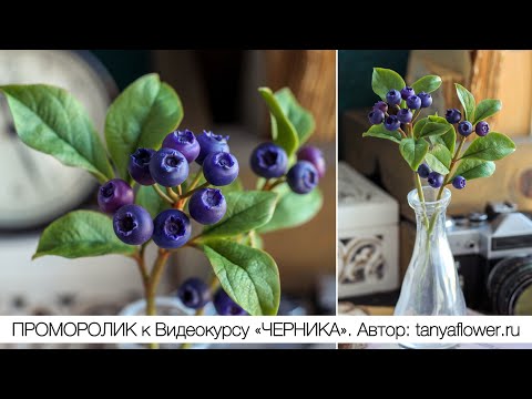 Видео: Проморолик к Видеокурсу «Черника»