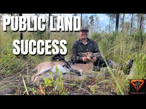 Видео: Лань сбита с дистанции в 20 ярдов! Охота с луком на общественных землях Флориды | Тур FTF Deer, э...
