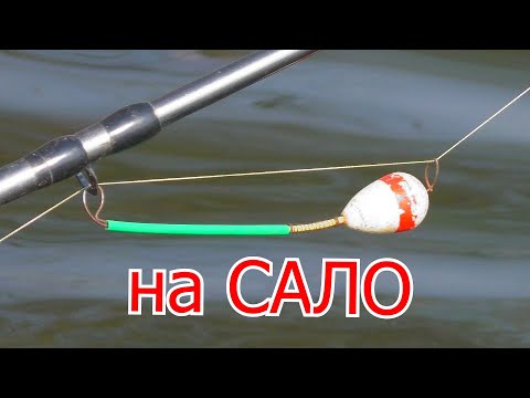 Видео: Рыбалка на реке на сало и пенопласт   Ловля на пружины. My fishing