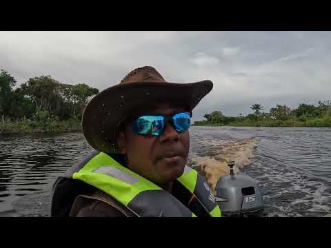 Видео: ДЕРЕВНЯ МОРАИКОБАЙ, 96 МИЛЬ ВВЕРХ ПО РЕКЕ МАХАИКОНИ, ГАЙАНА, ARD#419