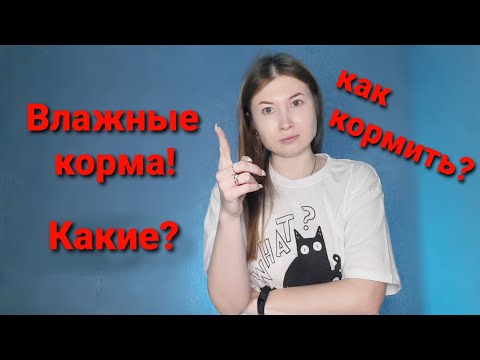 Видео: Влажные корма для кошек. Какие? Как кормить?