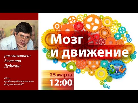 Видео: Лекция «Мозг и движения» | ЗПШ 2019