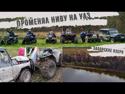 Видео: Made in Shordoga Осень 2025 / Предал Ниву, пересел на УАЗ. А стоило оно того?