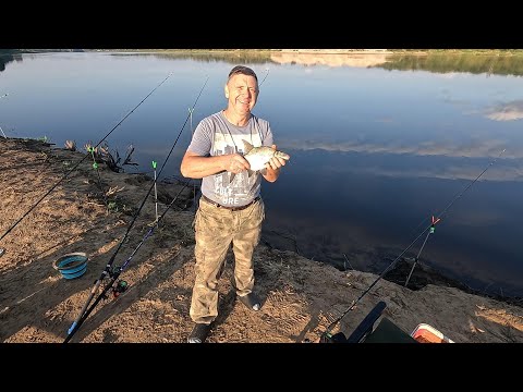 Видео: ФИДЕРНАЯ РЫБАЛКА С НОЧЕВКОЙ НА р.ЗАПАДНАЯ ДВИНА!КЛЕВ БЫЛ РЫБОЧКА В САДКЕ! 06-07.2025 г.