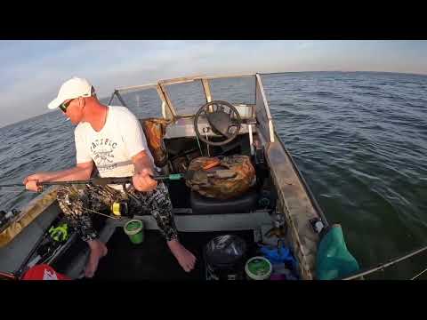 Видео: выезд на сома в августе (Дубовка Саратовская обл.)