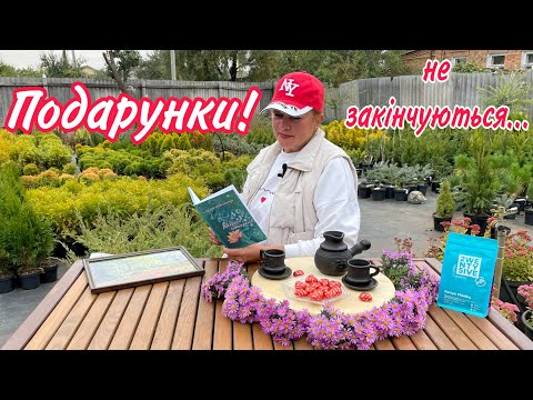 Видео: Будете ЗДИВОВАНІ...НЕЗАБАРОМ!