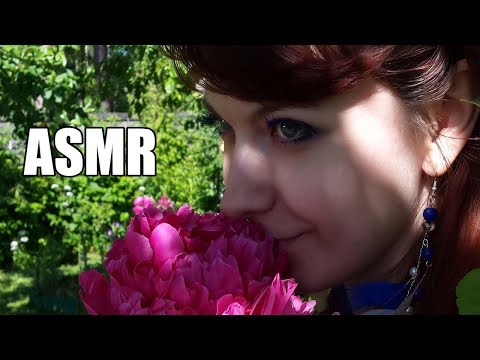 Видео: АСМР Прогулка по лесу 🌳 Тихий голос и звуки природы перед сном 🌿 ASMR Forest 🌼 Soft spoken