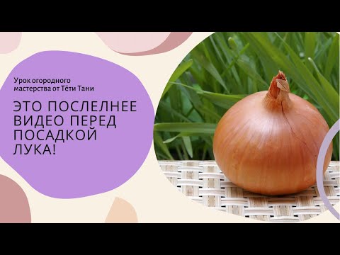 Видео: 519.  Лук-севок на зелень за 500 р или лучше за 50 р. ? Выбор за вами...
