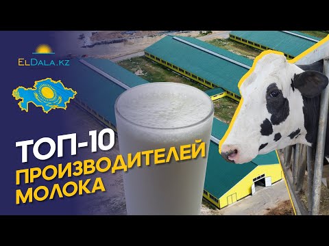 Видео: Самые крупные производители молока в Казахстане