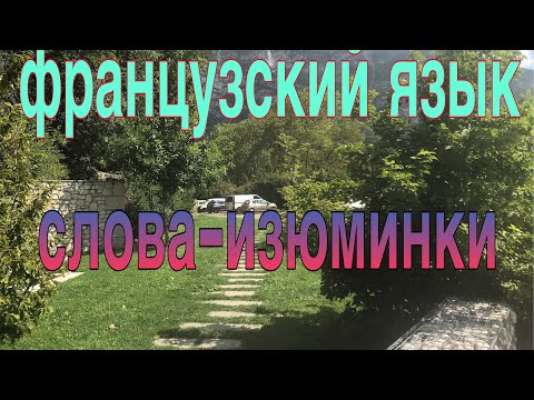 Видео: ФРАНЦУЗСКИЕ СЛОВА-ИЗЮМИНКИ | часть 1 | французский по полочкам