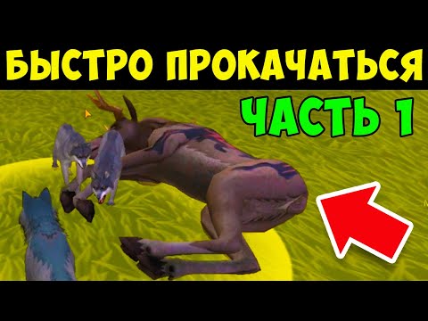 Видео: КАК БЫСТРО ПРОКАЧАТЬСЯ до 200 УРОВНЯ в WILDCRAFT ЧАСТЬ 1