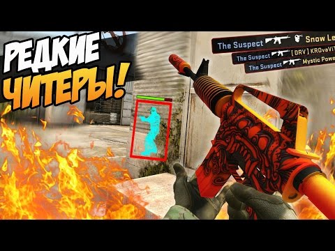 Видео: САМЫЕ РЕДКИЕ И НАГЛЫЕ ЧИТЕРЫ! (ПАТРУЛЬ В CS:GO #65)