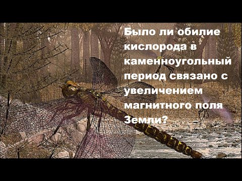 Видео: Было ли обилие кислорода в каменноугольный период связано с увеличением магнитного поля Земли?
