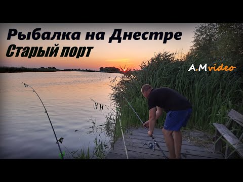 Видео: Рыбалка на Днестре в старом порту  21.07.2023.