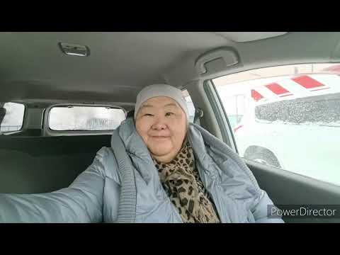 Видео: Жизнь аборигенки. Ездила в Богородское сыном. Как вам этот вариант? 10.11.25.