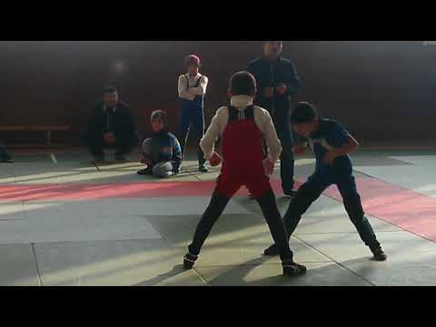 Видео: 30 ноября 2024 г.