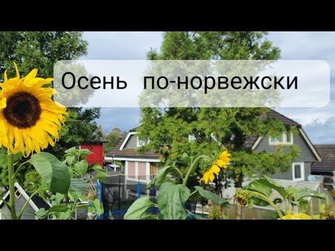 Видео: Осень в Норвегии. Осенние забавы, усталость, осенний рецепт.