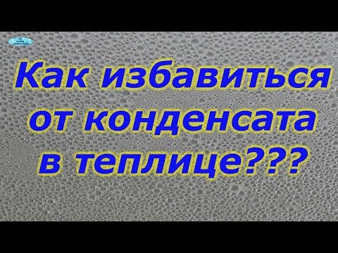 Видео: ЗАМУЧИЛ КОНДЕНСАТ В ТЕПЛИЦЕ? ОТЛИЧНЫЙ СПОСОБ ОТ НЕГО ИЗБАВИТЬСЯ!!!