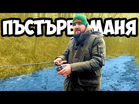 Видео: КАК се ВОДЯТ ПЪСТЪРВОВИ ПРИМАМКИ