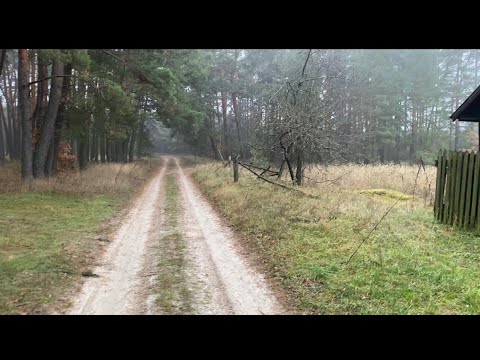 Видео: Пацан сказал,пацан сделал! Лес лечит всё,и душу тоже! Вот это прогулялись,грибы 🍄‍🟫 на завтрак есть!