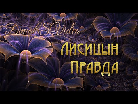 Видео: Лисицын - Правда (DimakSVideo)