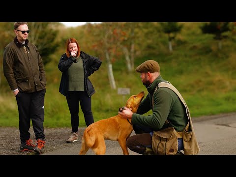 Видео: Типичный урок дрессировки собак с нами
