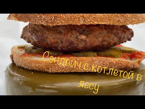 Видео: Одиночный поход в лес зимой