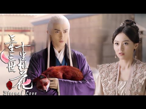 Видео: Любимый лисенок был ранен, а холодный император разгневался и наказал коварную девушку.