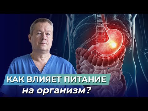 Видео: Принципы и основы ЗДОРОВОГО ПИТАНИЯ, которые должен знать каждый! Важность КБЖУ для организма