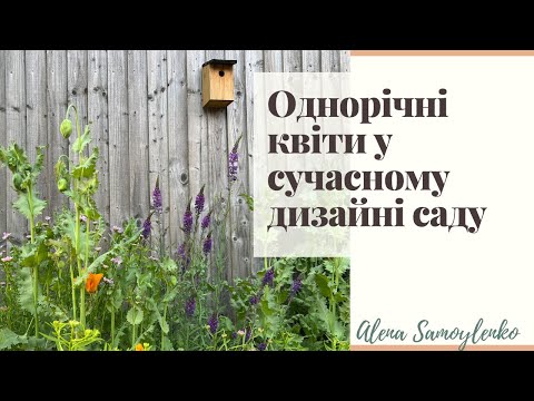 Видео: Однорічники у дизайні саду: новий погляд на знайомі рослини