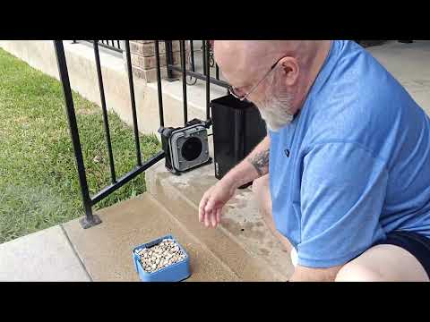 Видео: Хьюстон, у нас проблемы с моим SICCE Whale 500?