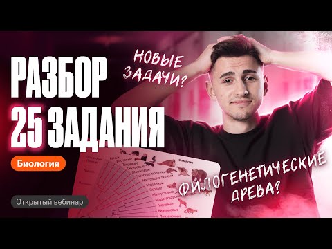 Видео: РАЗБОР 25 ЗАДАНИЯ | ОГЭ по биологии | Федор Агеев