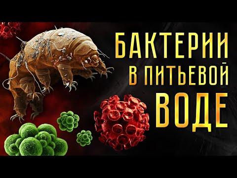 Видео: Бактерии в воде! Экстремальные методы очистки воды.
