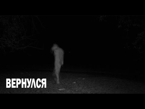 Видео: ПО ДОРОГЕ. Страшные. Мистические. Творческие истории. Хоррор