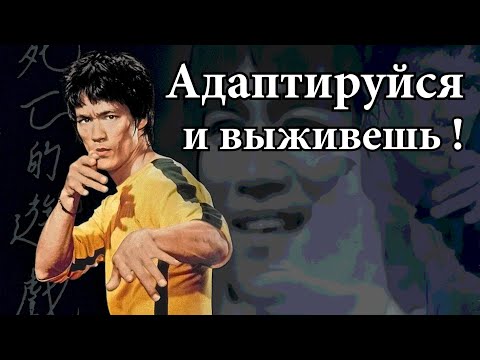 Видео: Почему Джит Кун До - Лучше борьбы и бокса
