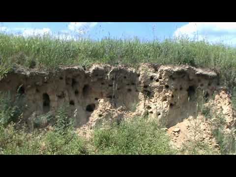 Видео: На  Овруцько - Словечанському кряжі землеробство має бути грунтозахистним  ч. 2