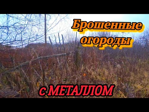 Видео: НАБРЕЛИ НА ЗАБРОШЕННЫЕ ОГОРОДЫ С КРУТЫМ МЕТАЛЛОМ!!! ТАКИХ НАХОДОК Я ДАВНО НЕ НАХОДИЛ!!!