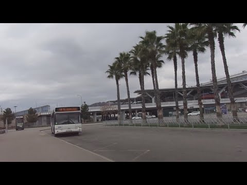 Видео: Автобус №50 (Сочи). Олимпийский парк - ТРЦ Моремолл