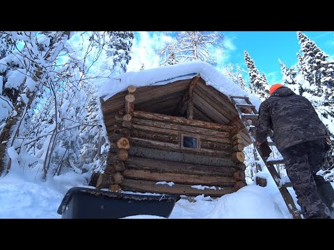 Видео: ОТПУСК В ЛЕСНОЙ ИЗБУШКЕ. ТАËЖНАЯ БЫТОВУХА. 2ч.