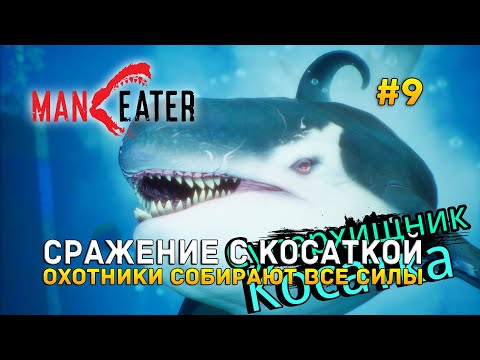 Видео: Сражение с Косаткой. Охотники собирают все силы - Maneater #9