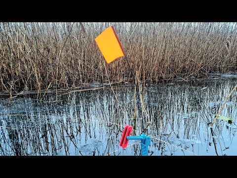 Видео: ЖЕРЛИЦЫ ГОРЯТ ПАЧКАМИ!!РЫБАЛКА НА ЖЕРЛИЦЫ 2024.ЗИМНЯЯ РЫБАЛКА НА ЩУКУ.