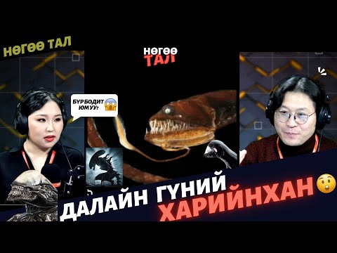 Видео: Нөгөө тал | 2025-01-09 | "Харийнхан" киноны мангасууд бол бодит амьтад