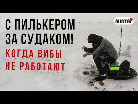 Видео: КИТАЙСКИЙ ПИЛЬКЕР на СУДАКА!